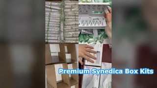 Bộ hộp Synedica có bút xanh Hộp mực 3ml 12 kim và tờ rơi